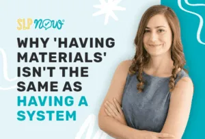 SLPNOW BlogThumb Having Materials Vs System