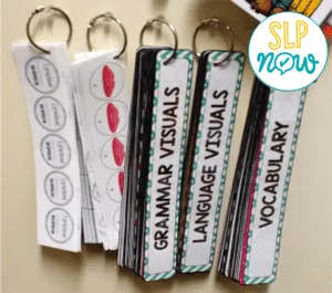 Every SLP has a ton of resources - especially resources from TPT! Therefore, we all need great ways to organize our speech room. I've shared seven of my favorite tools that help me organize all of my TPT resources that I use in my speech instruction! Check them out inside this post. Every SLP has a ton of resources - especially resources from TPT! Therefore, we all need great ways to organize our speech room. I've shared seven of my favorite tools that help me organize all of my TPT resources that I use in my speech instruction! Check them out inside this post.