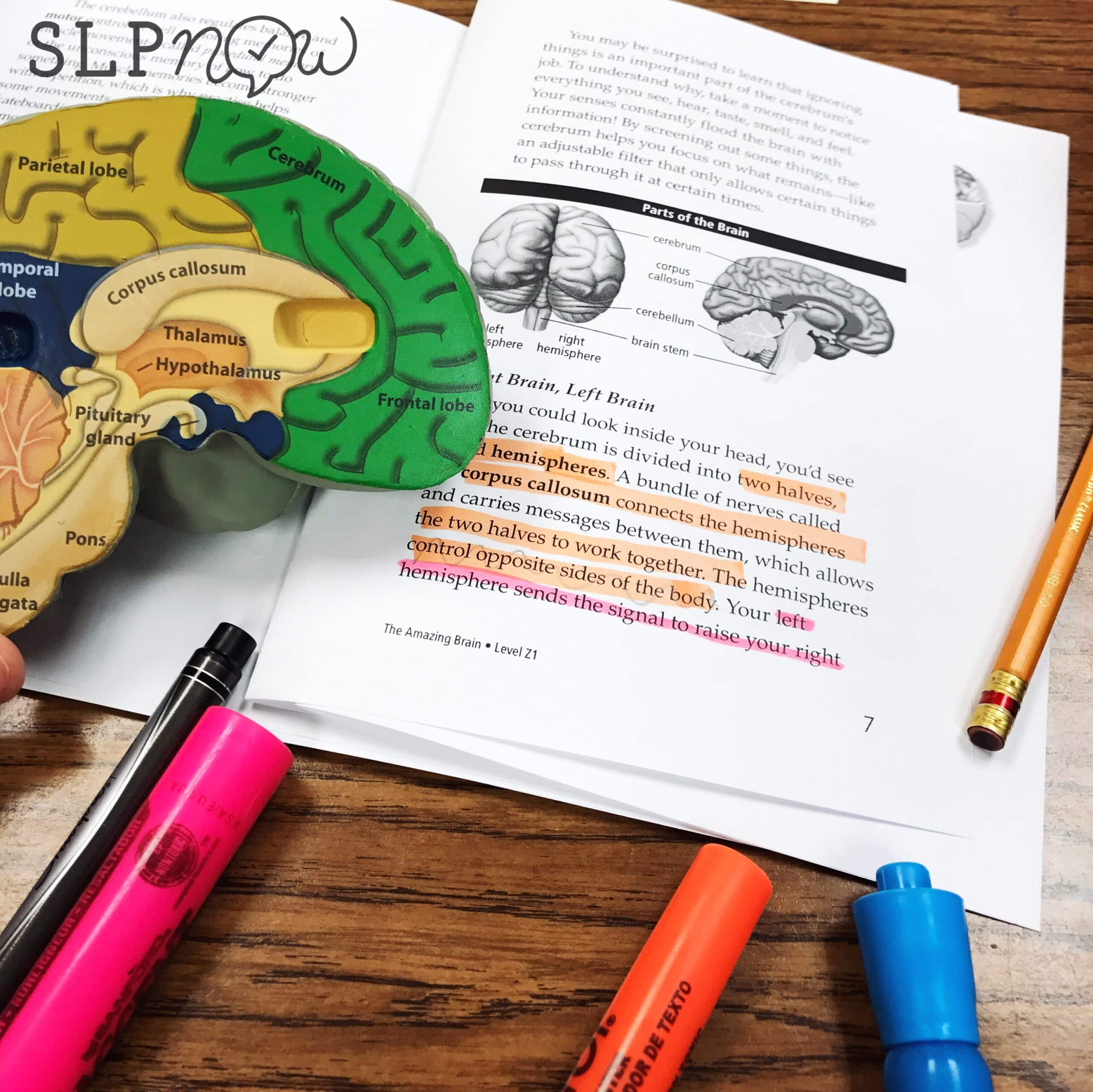 Many readers asked how I carry out a curriculum-based lesson in my speech therapy room, so I created this blog post detailing one of my therapy sessions. Curriculum-based therapy doesn't have to be challenging! Click through to read this post and get the play-by-play.