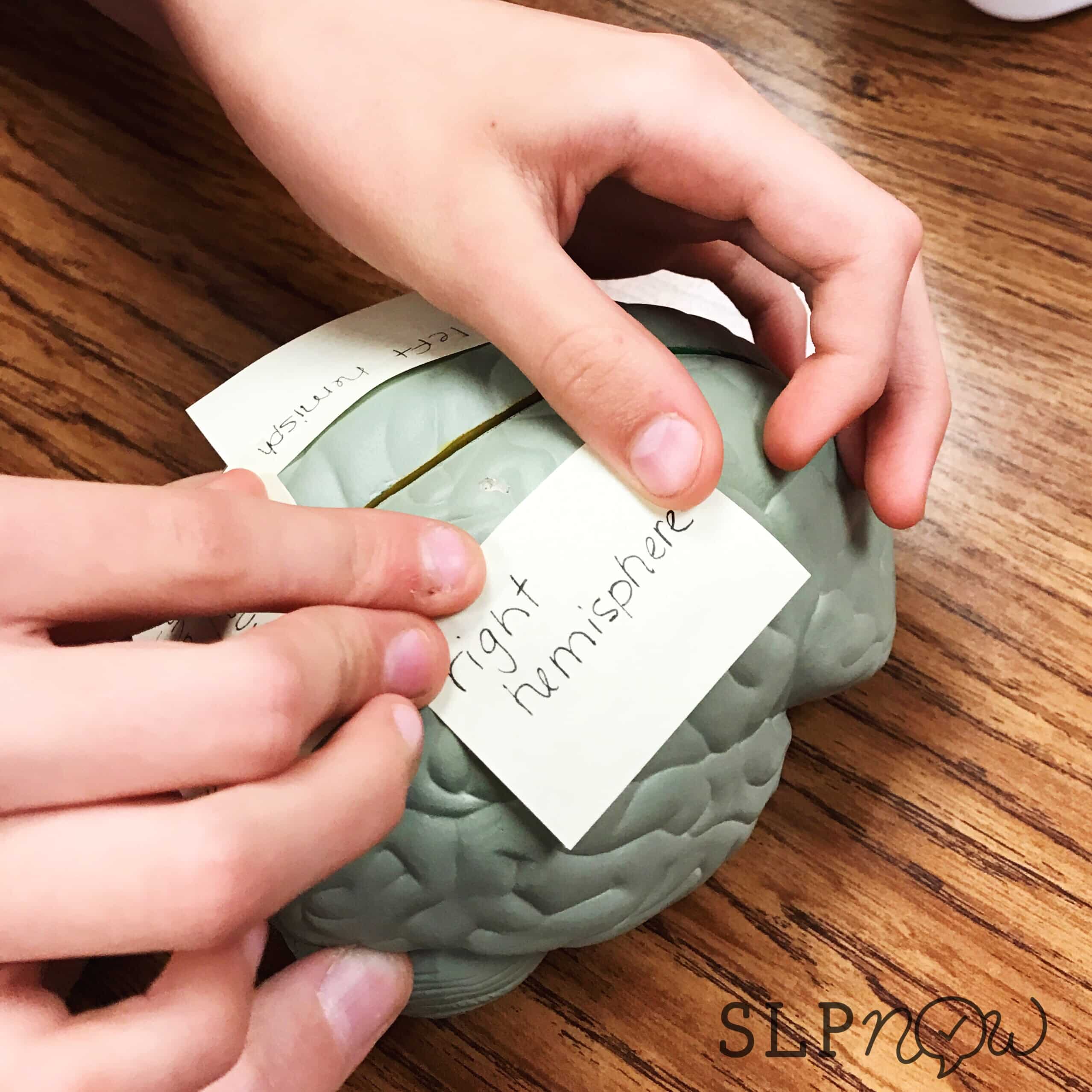 Many readers asked how I carry out a curriculum-based lesson in my speech therapy room, so I created this blog post detailing one of my therapy sessions. Curriculum-based therapy doesn't have to be challenging! Click through to read this post and get the play-by-play.