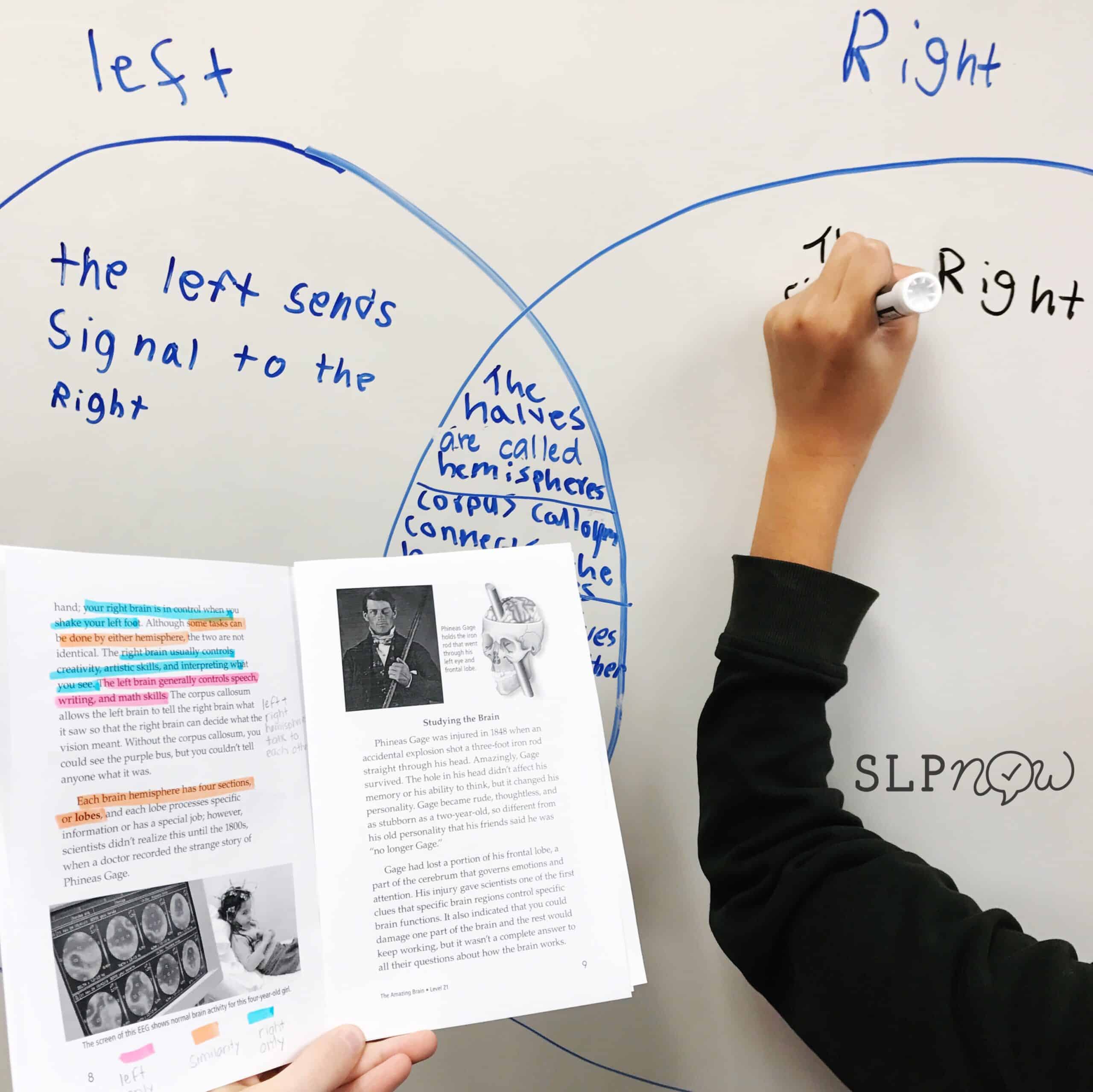 Many readers asked how I carry out a curriculum-based lesson in my speech therapy room, so I created this blog post detailing one of my therapy sessions. Curriculum-based therapy doesn't have to be challenging! Click through to read this post and get the play-by-play.