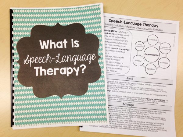 Check out this post for five quick and easy steps to crush your SLP goals this year! This post also includes a list of the top 10 goals listed by SLPs! Click through to get tons of ideas for your goal-setting session!