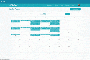 animation of slp now planning tool