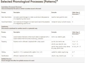 ASHA Phonological Processes Chart