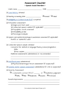 assessment checklist pdf