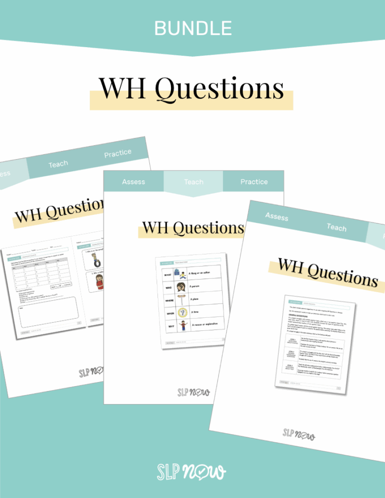 WH Questions Skill Pack preview