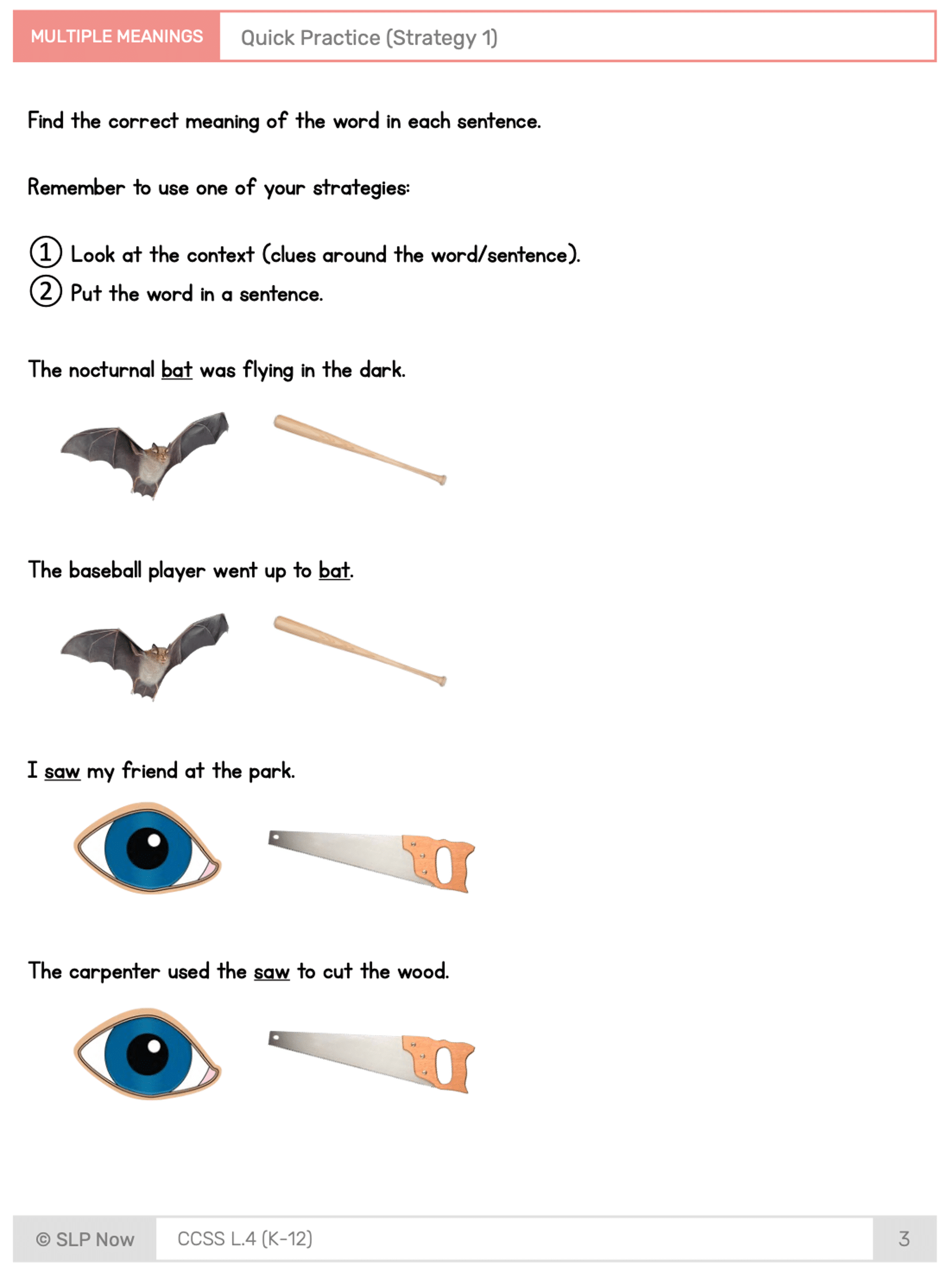 Multiple Meaning Words visual organizer example