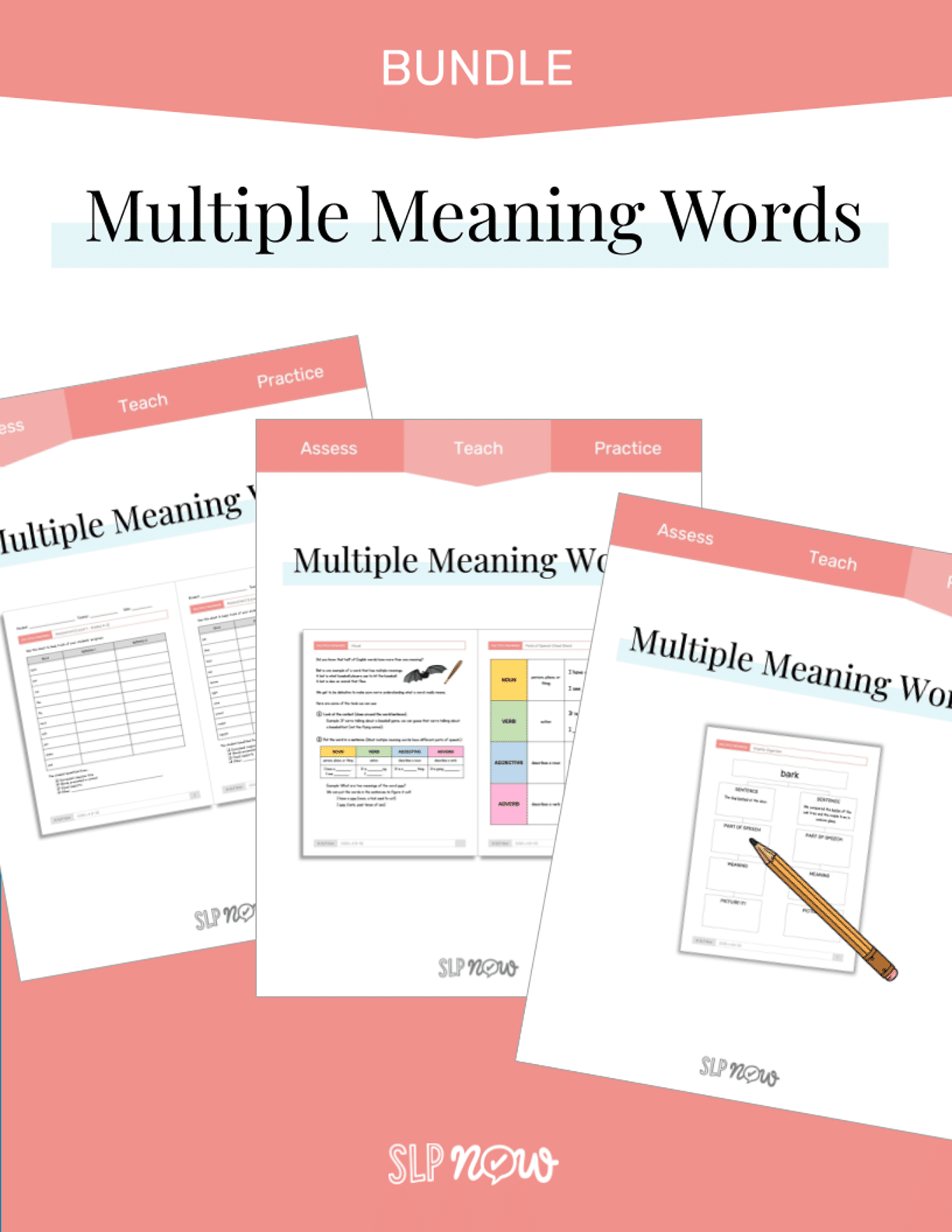 Multiple Meaning Words Skill Pack preview