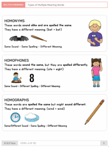 types of multiple meaning words